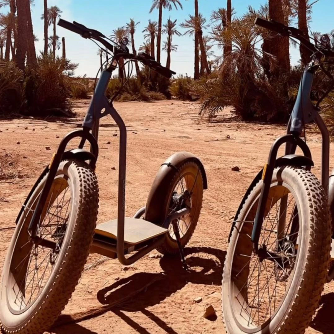 Balade en trottinette électrique à Marrakech